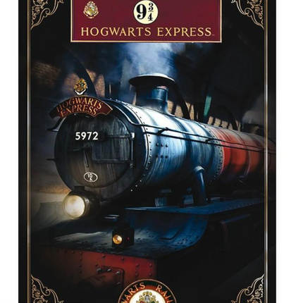 Poster Hogwarts Express Harry Potter 91,5 x 61 cm (ABYDCO542)