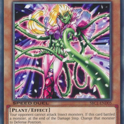 SBC1-D05 · Fata delle Spine / Prickle Fairy (ITA)