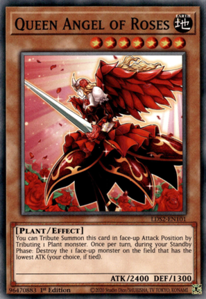 LDS2-101 · Angelo Regina delle Rose / Queen Angel of Roses (ITA)