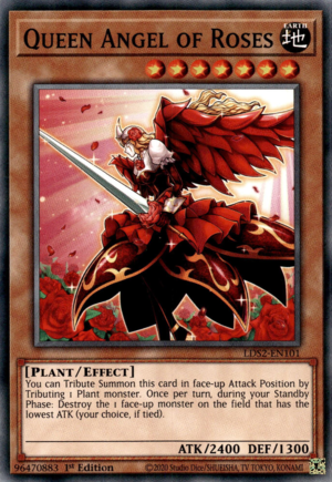 LDS2-101 · Angelo Regina delle Rose / Queen Angel of Roses (ITA)