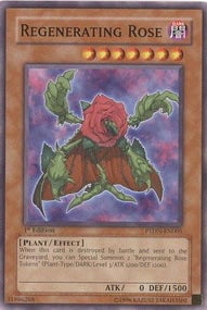 PTDN-005 · Rosa Rigenerante / Regenerating Rose (ITA)