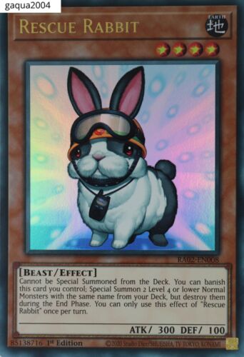 RA02-008u · Coniglio da Soccorso / Rescue Rabbit UR (ITA)