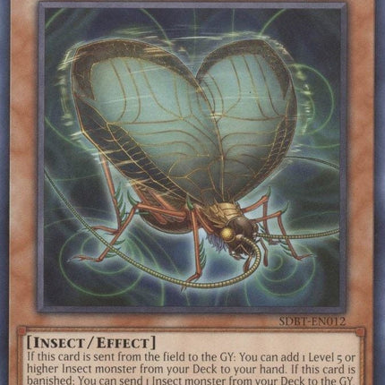 SDBT-012 · Insetto Risonanza / Resonance Insect (ITA)