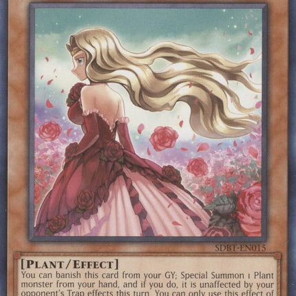 SDBT-015 · Amante Rosa / Rose Lover (ITA)
