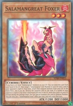 SDSB-013 · Salamagna Volpio / Salamangreat Foxer (ITA)