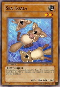 PTDN-037 · Koala Marino / Sea Koala (ITA)