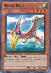 YS11-008 · Uccello Veloce / Speed Bird (ITA)