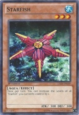 LTGY-009 · Stella Marina / Starfish (ITA)