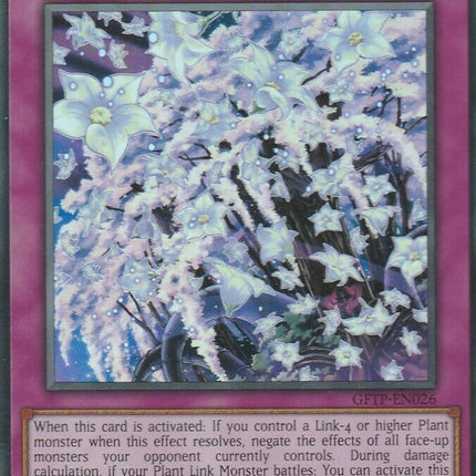GFTP-026 · Solaravalon Fioritura / Sunavalon Bloom UR (ITA)