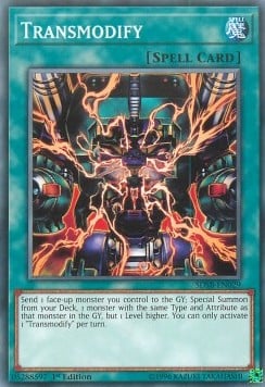 SDSB-029 · Transmodificazione / Transmodify (ITA)