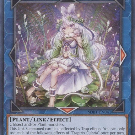 SDBT-041 · Trappolatrice Cularia / Traptrix Cularia (ITA)