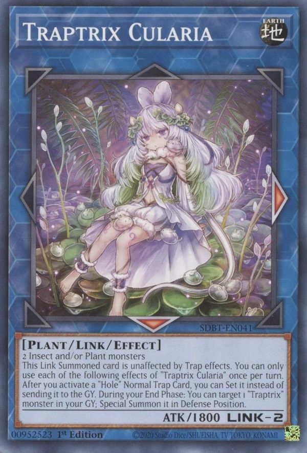 SDBT-041 · Trappolatrice Cularia / Traptrix Cularia (ITA)