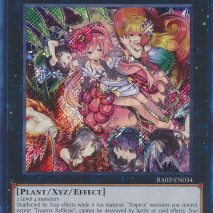 RA02-034sec · Trappolatrice Rafflesia / Traptrix Rafflesia SCR (ITA)