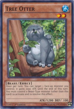 BP03-062 · Lontra degli Alberi / Tree Otter (ITA)
