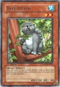 RGBT-095 · Lontra degli Alberi / Tree Otter R (ITA)