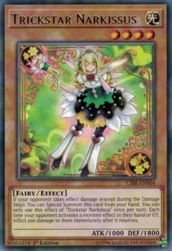 CIBR-004 · Truccastella Narcibacio / Trickstar Narkissus R (ITA)