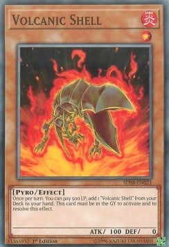 SDSB-021 · Guscio Vulcanico / Volcanic Shell (ITA)