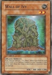 CSOC-004 · Muro d'Edera / Wall of Ivy (ITA)