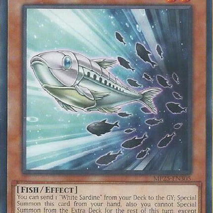 MP25-305 · White Sardine (ITA)