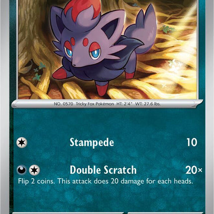 SFA-031 · Zorua (ITA)